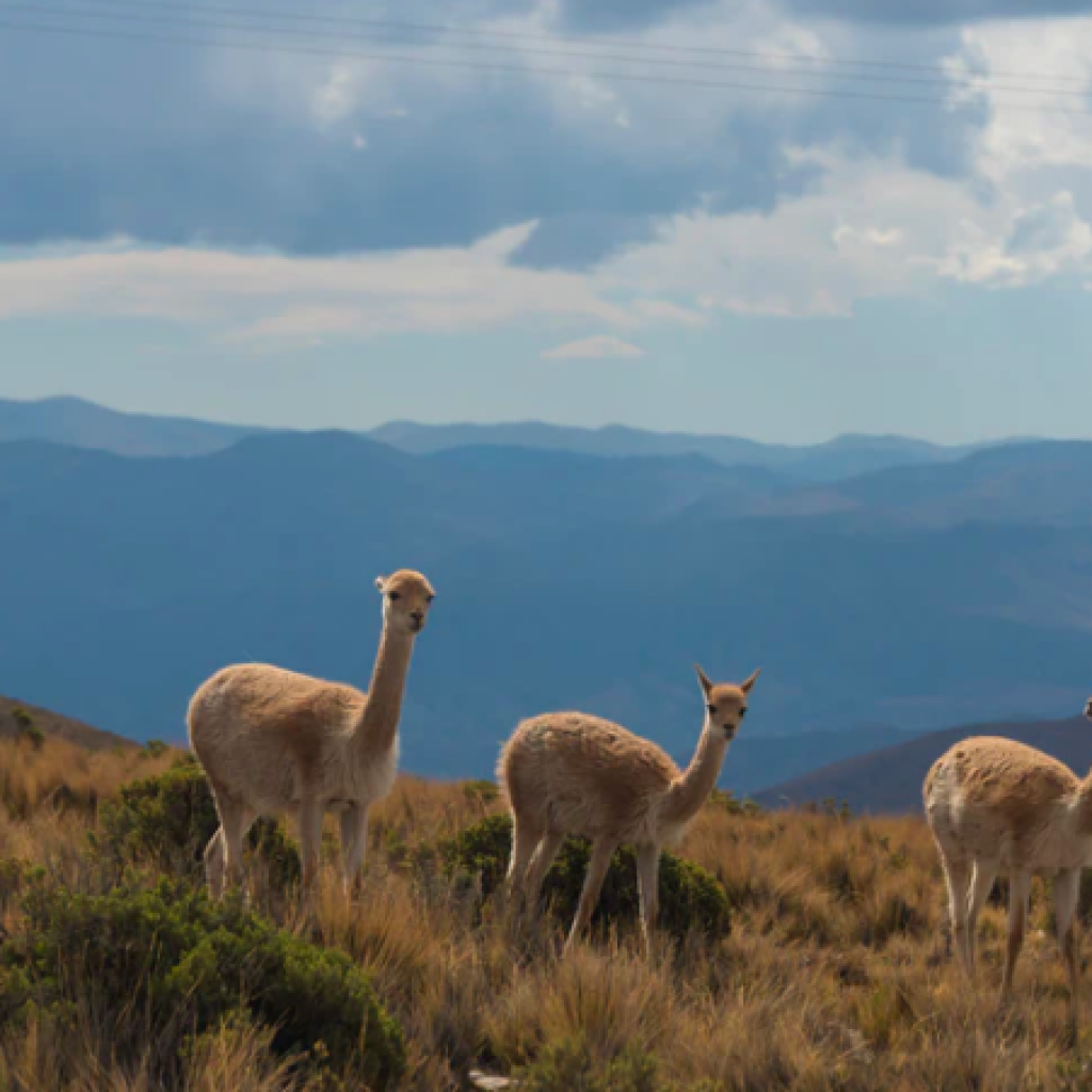 Serranía de Hornocal, Mountain of fourteen colors, Quebrada de Humahuaca , Humahuaca, Argentina